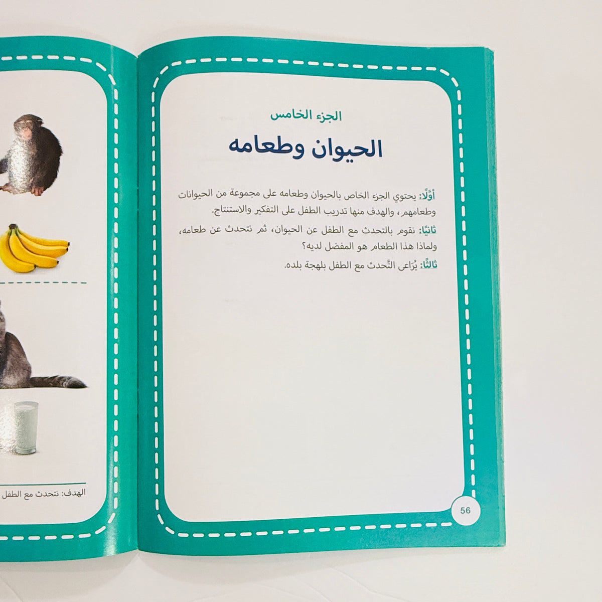 كتاب ابدأ التعلم عربي – صورة من تدريبات الكتاب 5